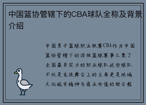 中国篮协管辖下的CBA球队全称及背景介绍